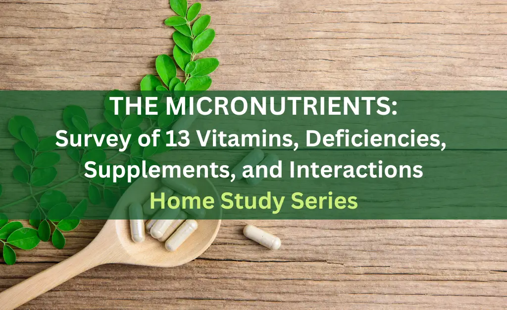 THE MICRONUTRIENTS Home Study Series Bundle Graphic THE MICRONUTRIENTS Home Study Series Bundle Graphic