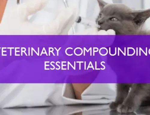 Scholarship Winner Attends ACA’s Veterinary Compounding Essentials Program